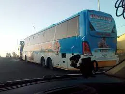 Badela trans bus bookings