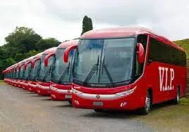 Vip  Bus Fleet Line